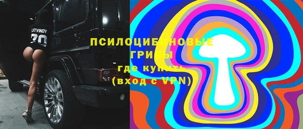 а пвп мука Алзамай