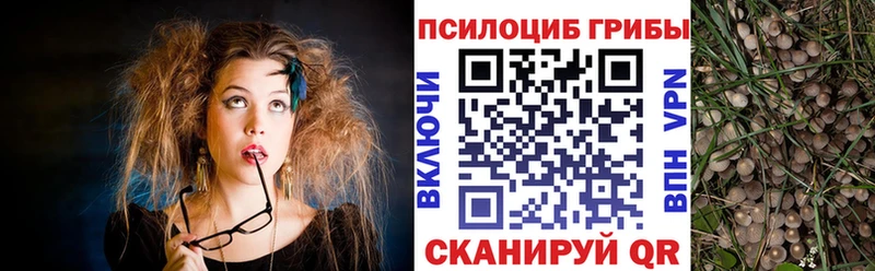 что такое   Дмитров  Галлюциногенные грибы мицелий 